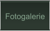 Fotogalerie