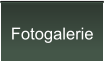 Fotogalerie